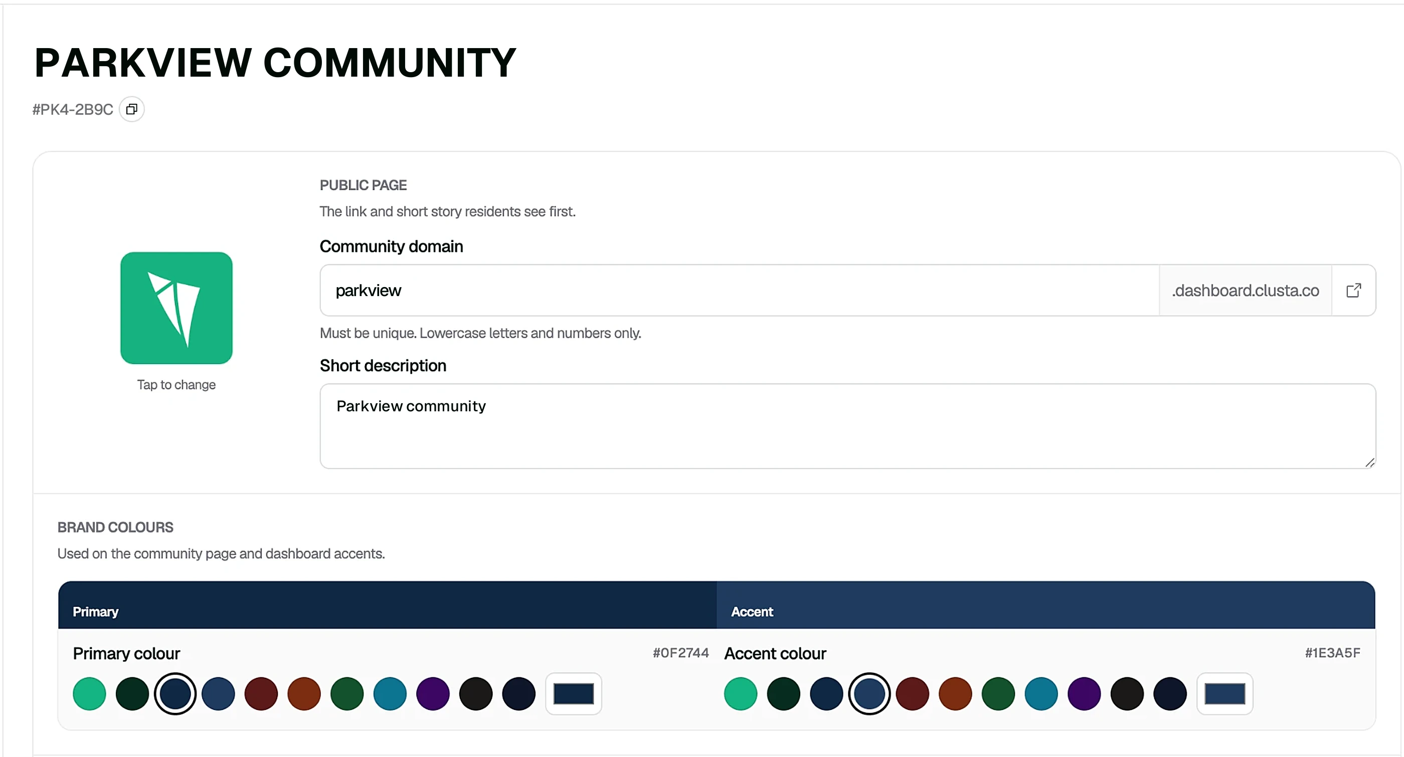 Clusta settings where an admin sets the community domain, short description and primary and accent brand colours